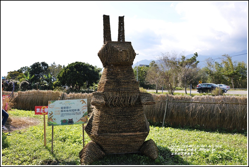 富里鄉稻草藝術節-2020-01-34.jpg