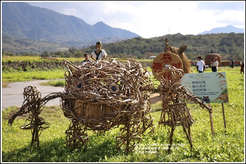 富里鄉稻草藝術節-2020-01-35.jpg