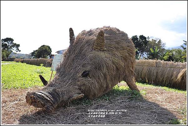 富里鄉稻草藝術節-2020-01-39.jpg