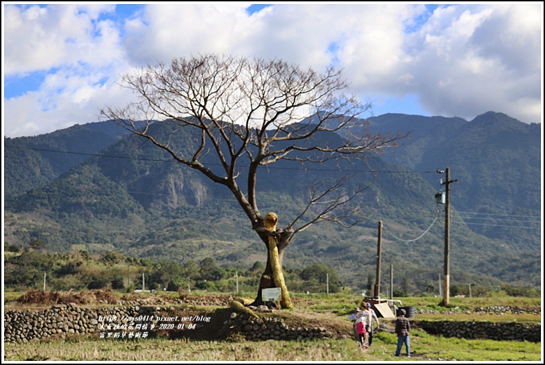 富里鄉稻草藝術節-2020-01-51.jpg