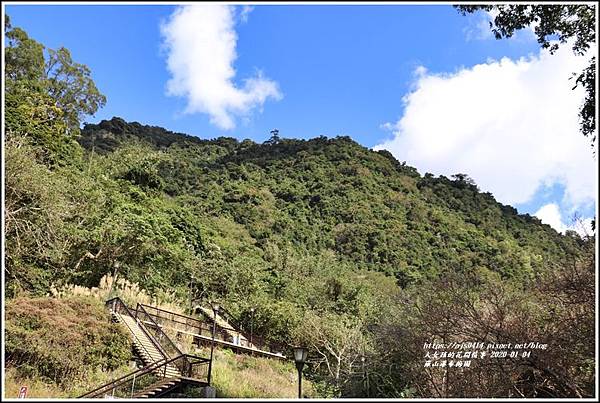 富里羅山瀑布梅園-2020-01-01.jpg