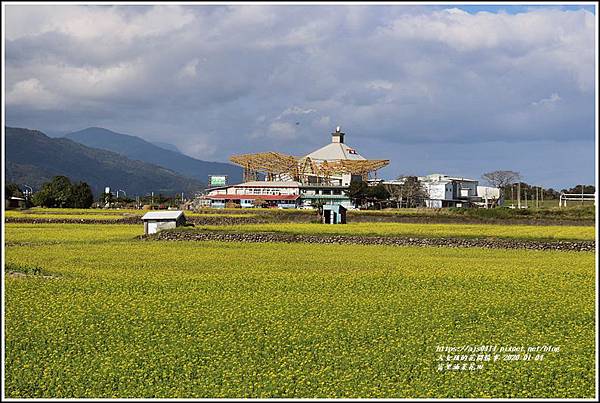 富里油菜花田-2020-01-01.jpg