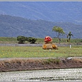 玉溪花海節-2020-01-03.jpg