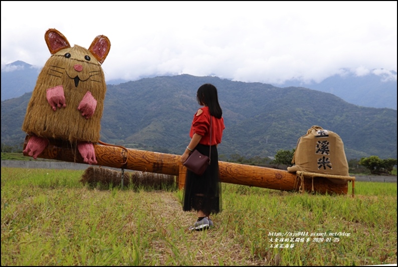 玉溪花海節-2020-01-20.jpg