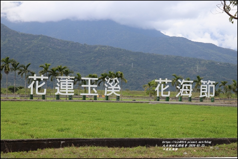 玉溪花海節-2020-01-34.jpg