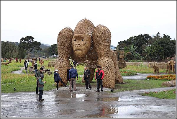 富里稻草藝術節-2020-01-141.jpg