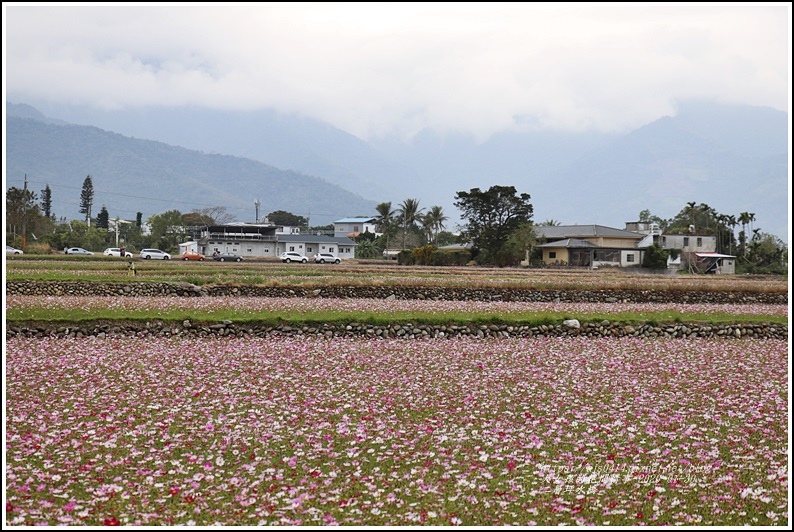 二層坪水橋-2020-01-10.jpg