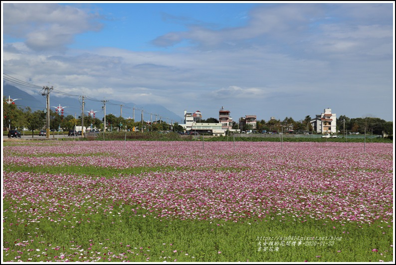 吉安花海-2020-01-09.jpg