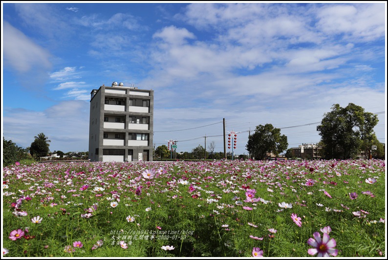 吉安花海-2020-01-01.jpg