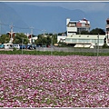 吉安花海-2020-01-20.jpg