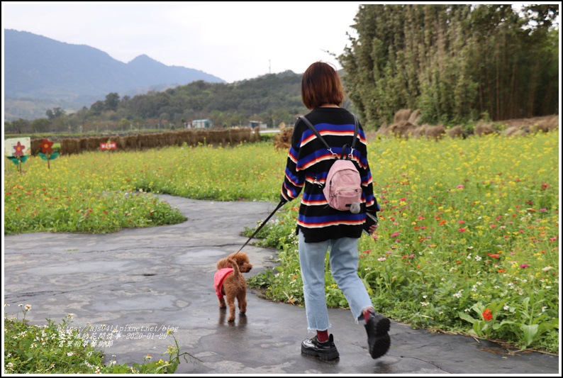 富里稻草藝術節-2020-01-111.jpg