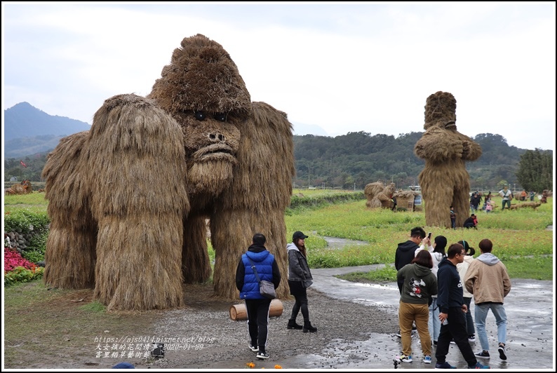 富里稻草藝術節-2020-01-142.jpg