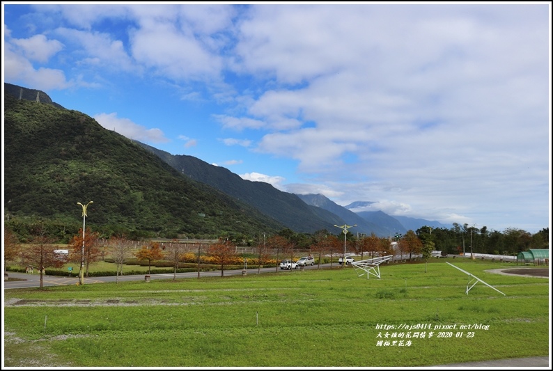 國福里花海-2020-01-14.jpg