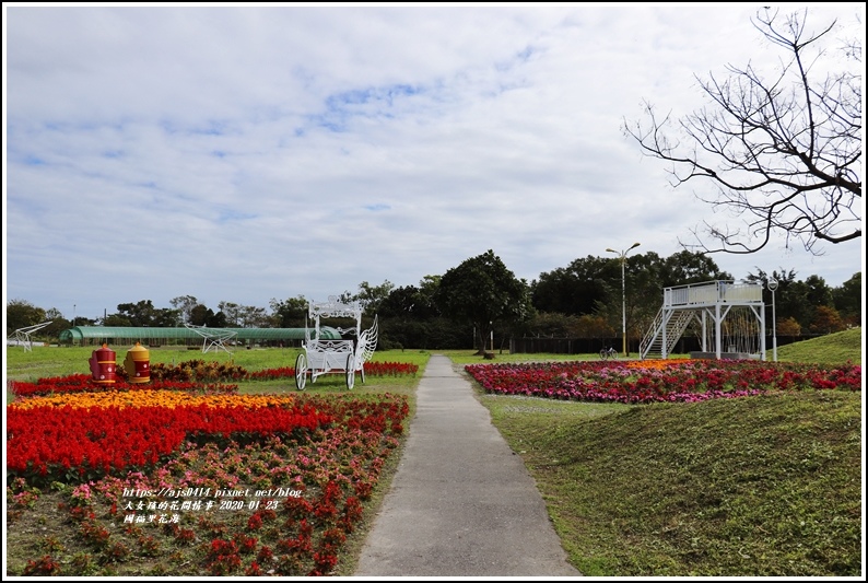 國福里花海-2020-01-24.jpg