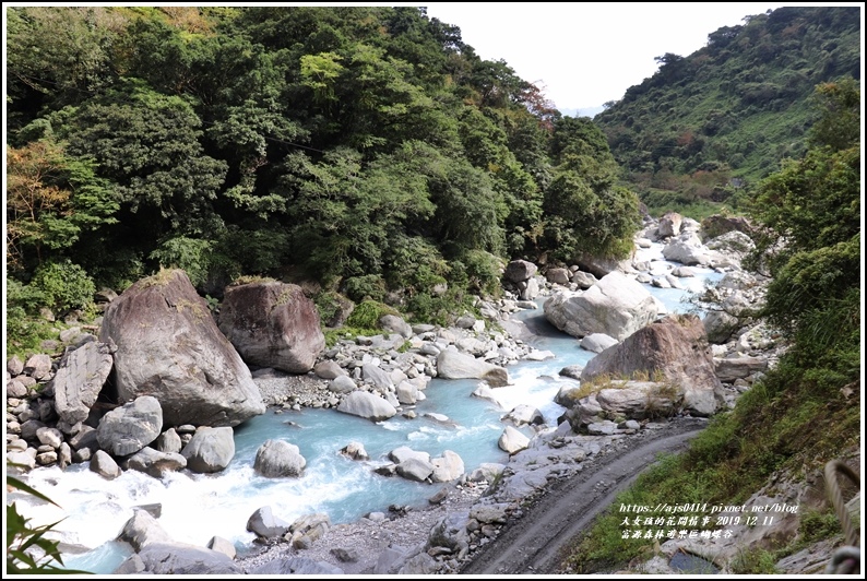 富源森林遊樂區蝴蝶谷-2019-12-44.jpg