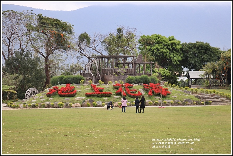 池上四季花海-2020-01-02.jpg