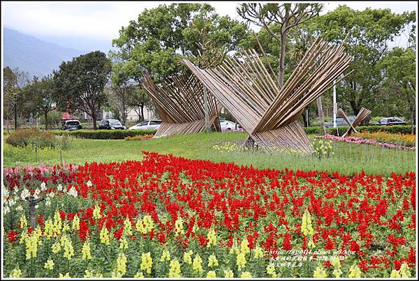 池上四季花海-2020-01-11.jpg