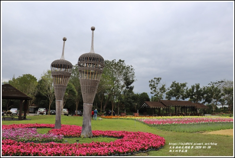 池上四季花海-2020-01-24.jpg