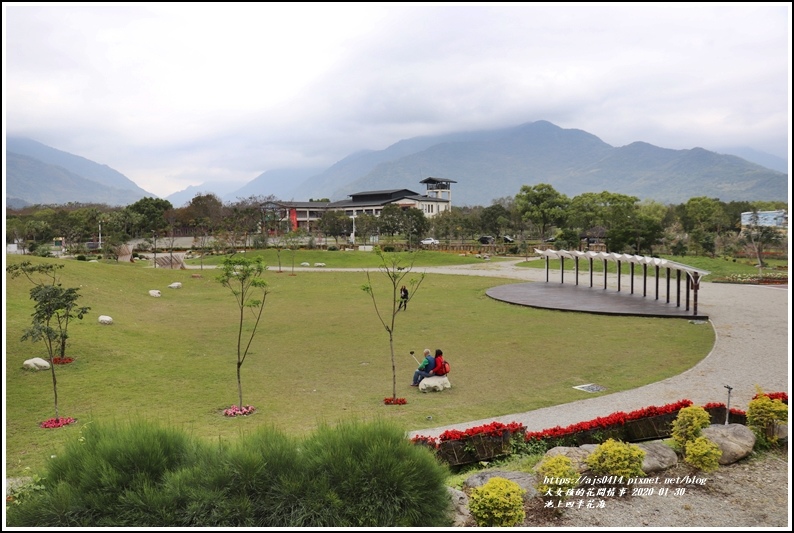 池上四季花海-2020-01-39.jpg