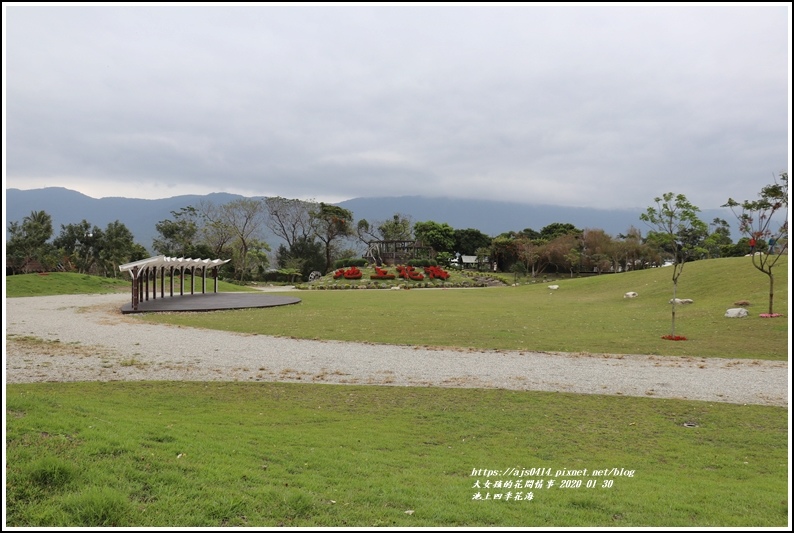 池上四季花海-2020-01-43.jpg