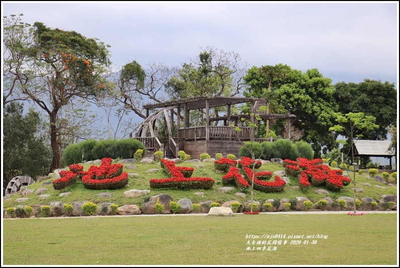 池上四季花海-2020-01-42.jpg