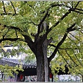 江蘇無錫錫惠公園-2019-11-51.jpg