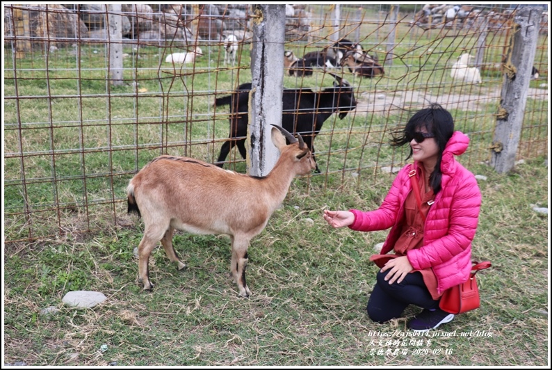 崇德瑩農場-2020-02-11.jpg 崇德瑩農場-2020-02-11.jpg
