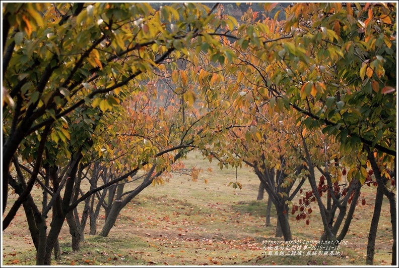 江蘇無錫三國城(無錫影視基地)-2019-11-27.jpg