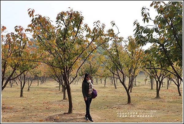 江蘇無錫三國城(無錫影視基地)-2019-11-29.jpg