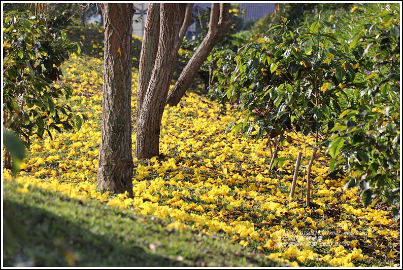 統茂渡假村莊園-2020-03-11.jpg