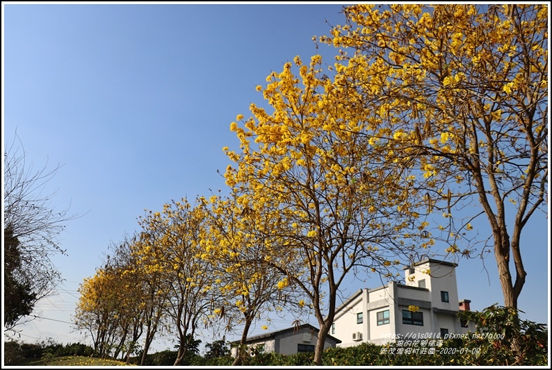 統茂渡假村莊園-2020-03-17.jpg