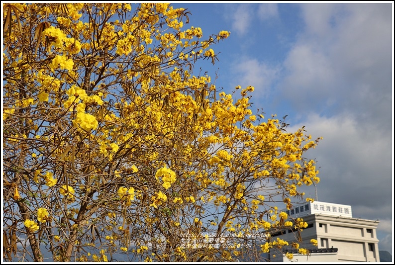 統茂渡假村莊園-2020-03-13.jpg