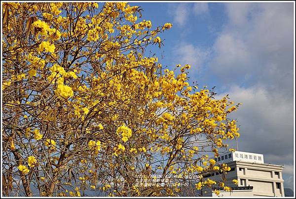 統茂渡假村莊園-2020-03-13.jpg