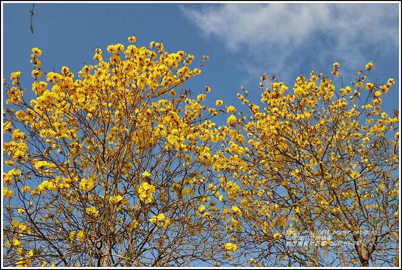 統茂渡假村莊園-2020-03-15.jpg