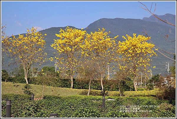 統茂渡假村莊園-2020-03-37.jpg