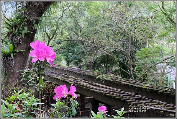 林田山文化園區-2020-02-05.jpg