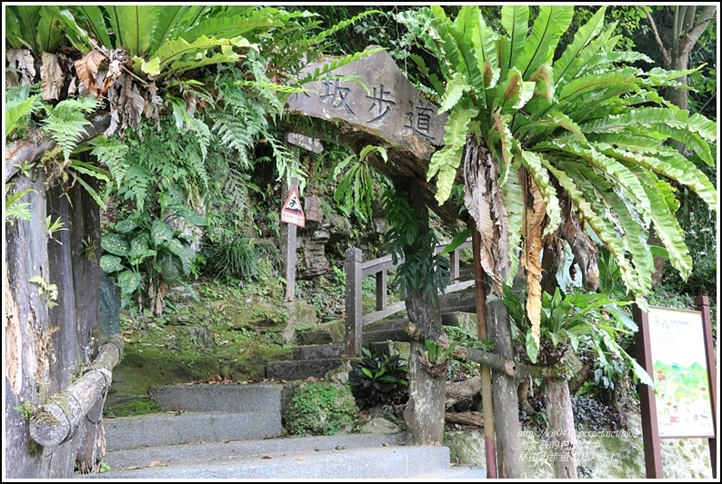 林田山林業文化園區步道-2020-03-02.jpg