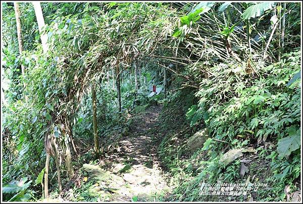 林田山林業文化園區步道-2020-03-55.jpg