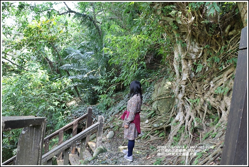 林田山林業文化園區步道-2020-03-67.jpg