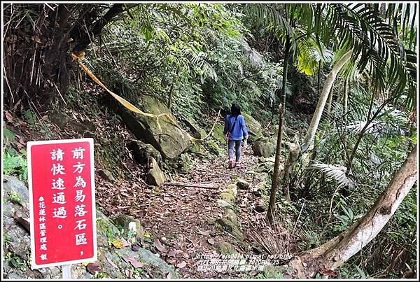 林田山林業文化園區步道-2020-03-103.jpg