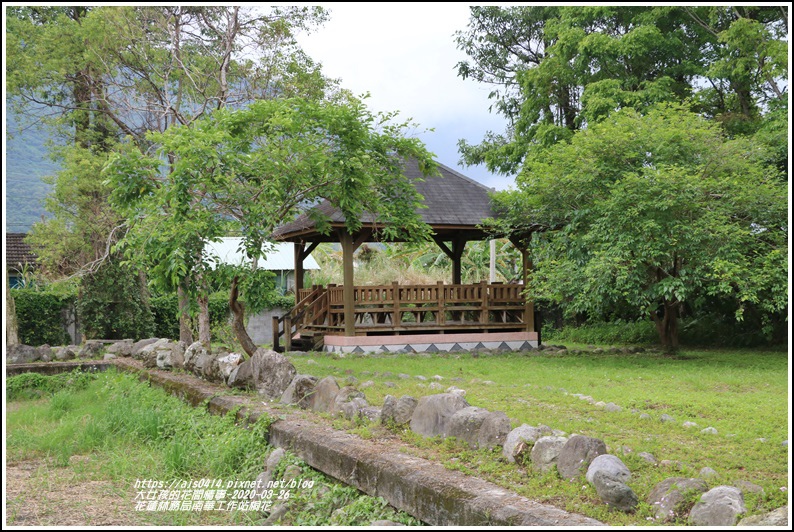 花蓮林務局南華工作站桐花-2020-03-43.jpg