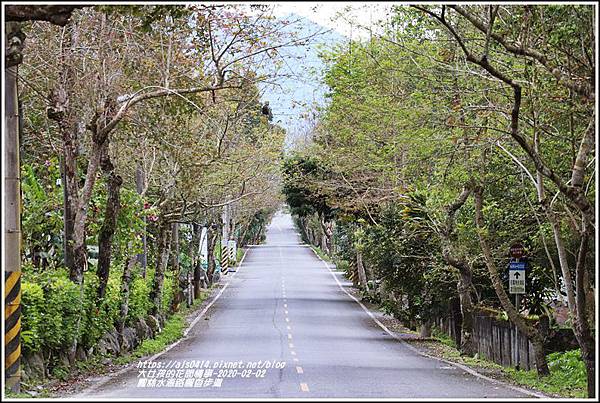 鳳林水源路楓香步道-2020-02-13.jpg