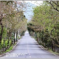 鳳林水源路楓香步道-2020-02-13.jpg