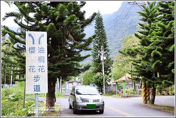 鳳林櫻花步道-2020-02-46.jpg