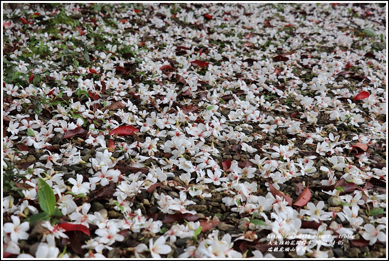 瑞穗虎頭山步道-2020-04-28.jpg