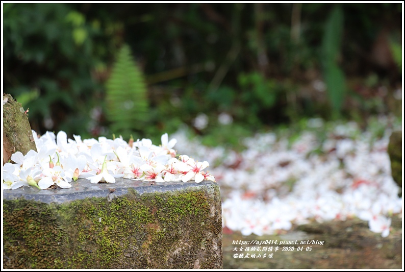 瑞穗虎頭山步道-2020-04-32.jpg