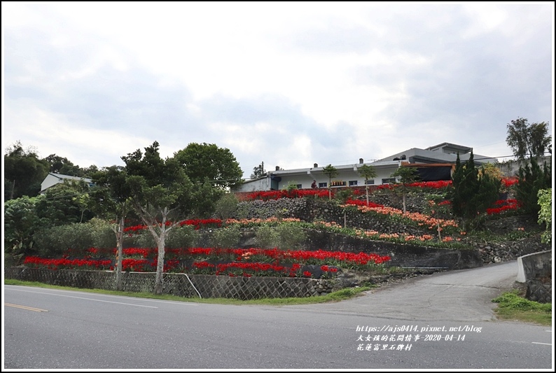 富里石碑村孤挺花-2020-04-29.jpg