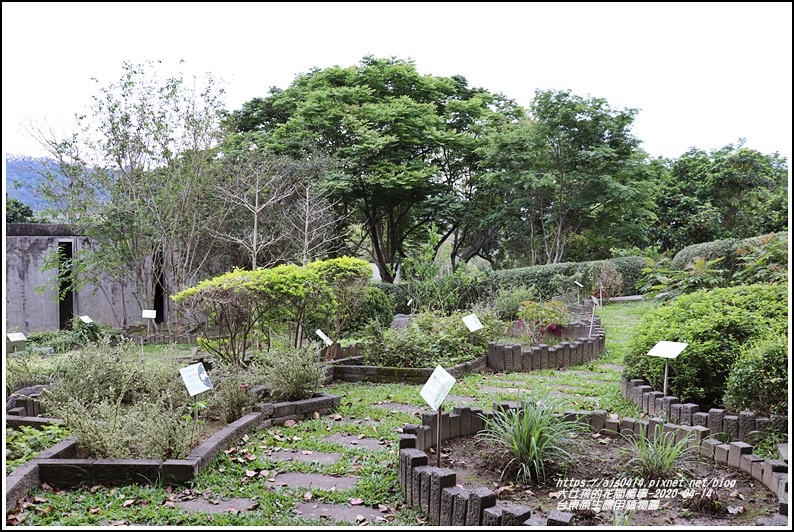 台東原生應用植物園-2020-04-08.jpg