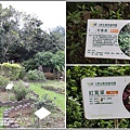 台東原生應用植物園-2020-04-12.jpg