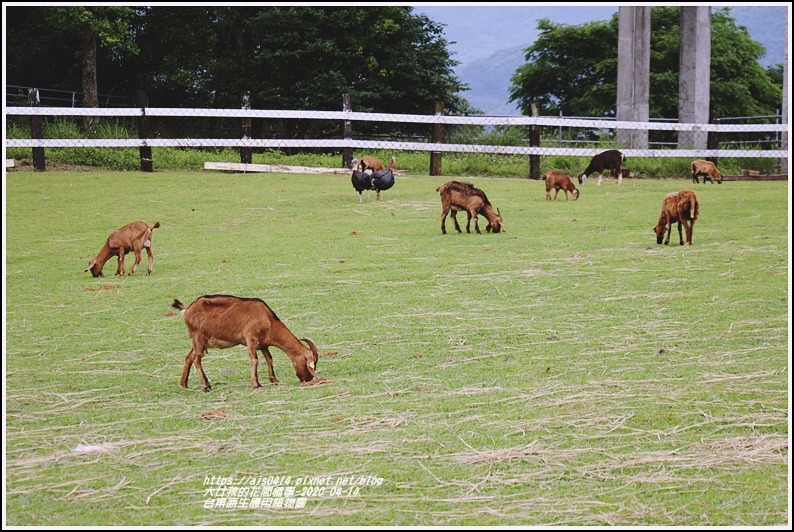 台東原生應用植物園-2020-04-20.jpg